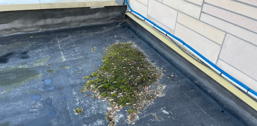 nettoyage toiture EPDM à prévoir à Draguignan