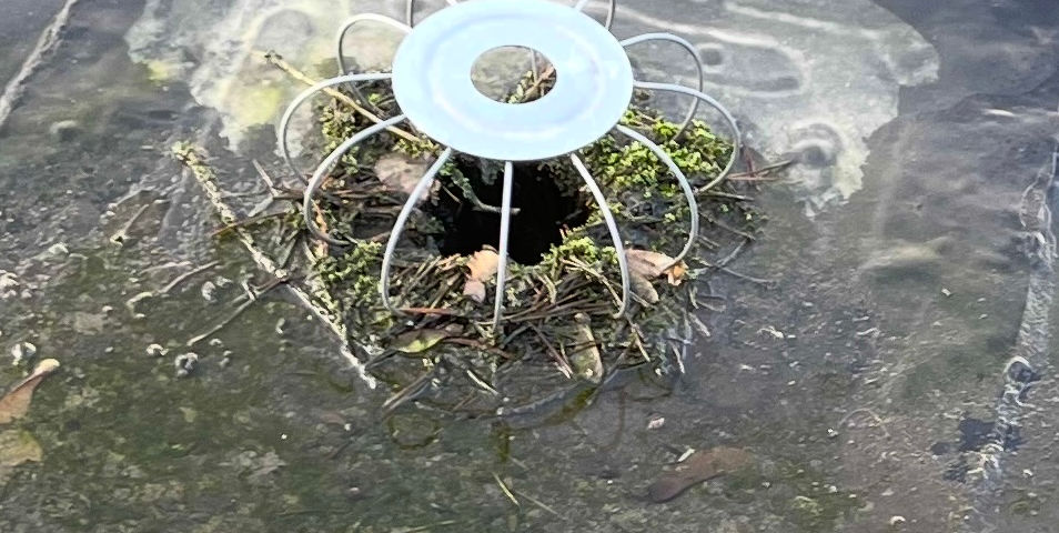 évacuation EP bouchée par les mousses et feuilles, nettoyage à prévoir sinon fuite à Fréjus Draguignan, Saint-Tropez