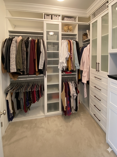 walk in closet with glass doors.png
