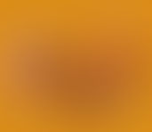 12th Annual Turkey Trot