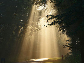 Listening for that “whisper” from God in Adoration