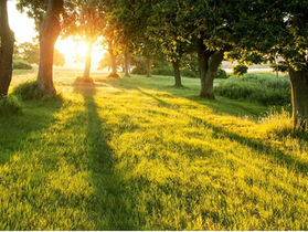 September Adoration: The Heart of Christ, School of Love