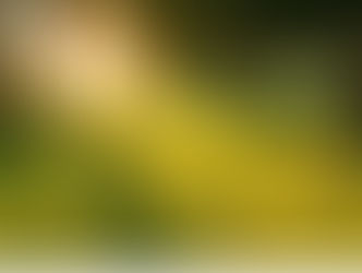 September Adoration: The Heart of Christ, School of Love