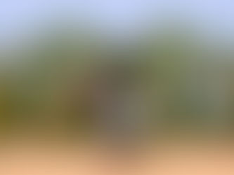 April Gifts with Purchase