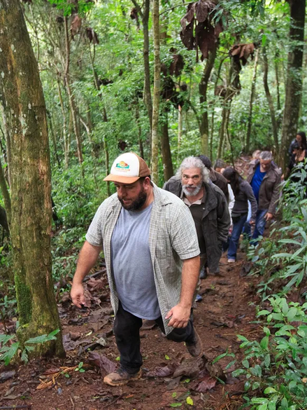 Grupo de pessoas fazendo trilha em meio à mata fechada.