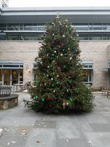 Book Club At The Armed Forces retirement Home. A Classroom At Its Best