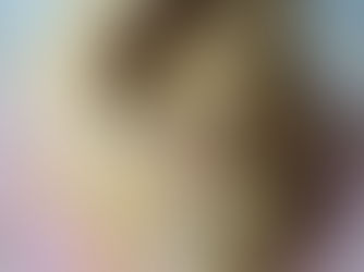 Plant-Based Cake Batter Cookies