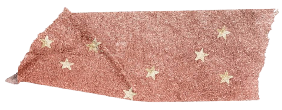 Untitled design (58)_edited.png