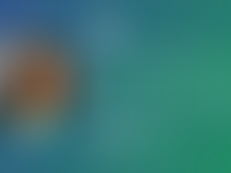 Manajoy : l’art d’adapter le management aux petites structures