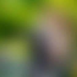 Capturing Love Amidst Serenity at Stoke Poges Memorial Park