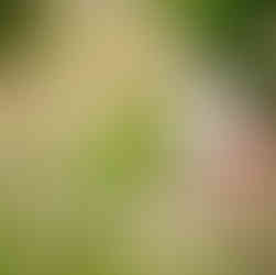 Wedding at Bury Court Barn