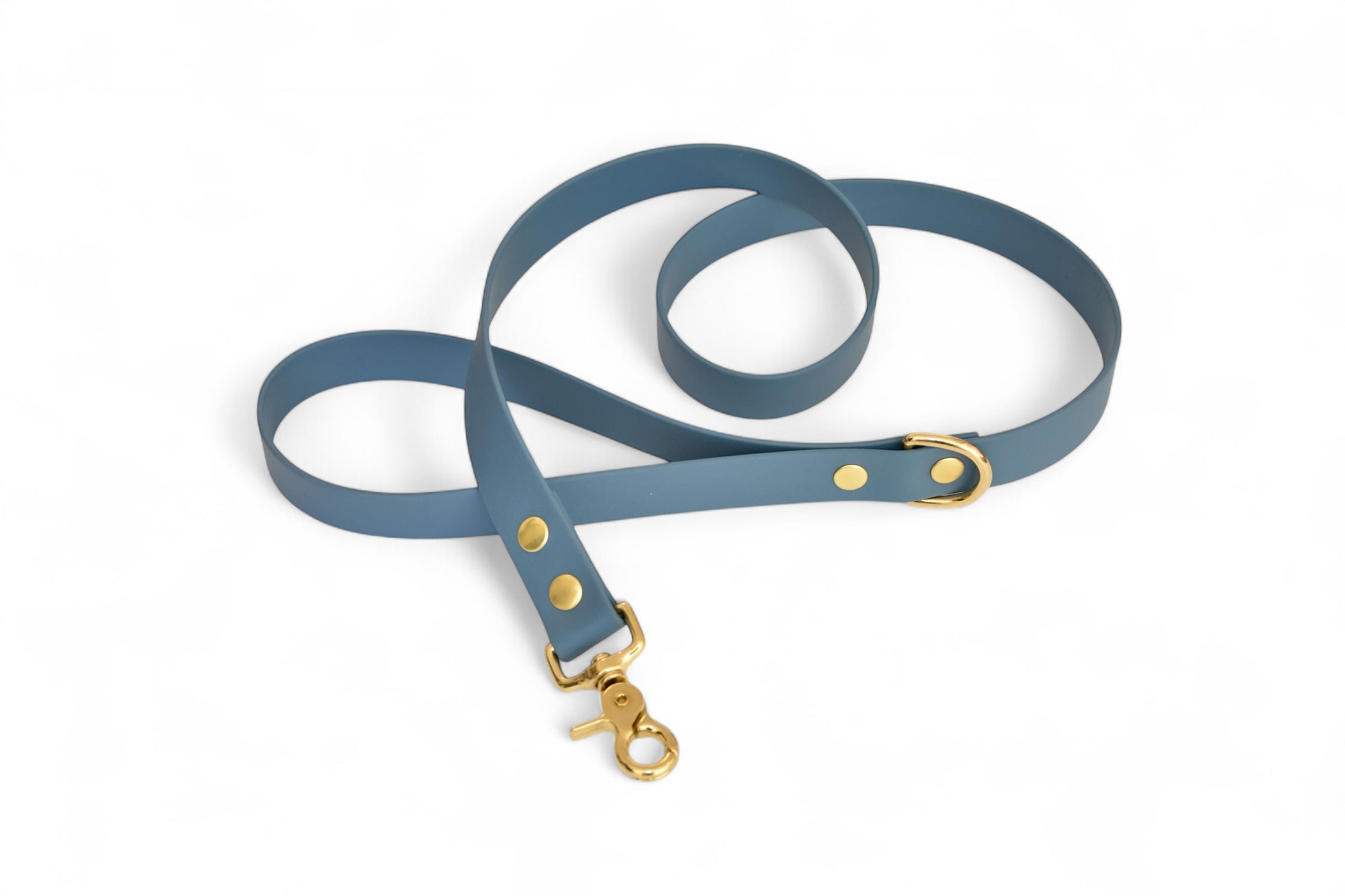 Laisse Bleu pétrole - Biothane