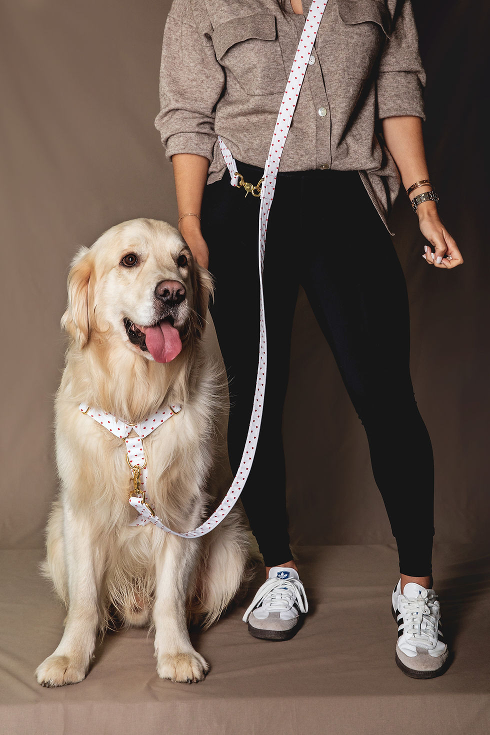 Miniature : Laisse Multi-positions Pompon&Pets - tissu imperméable