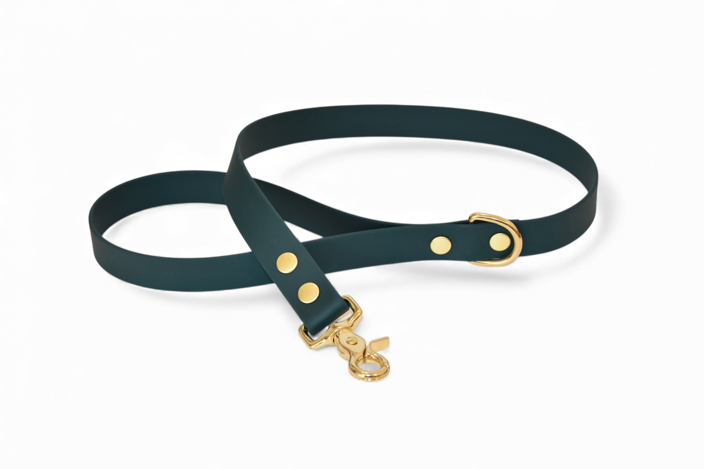 Laisse Vert - Biothane