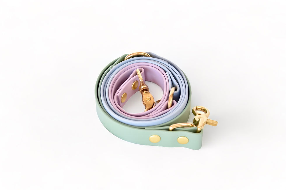 Miniature : Laisse Rio&Co x Pompon&Pets Rainbow