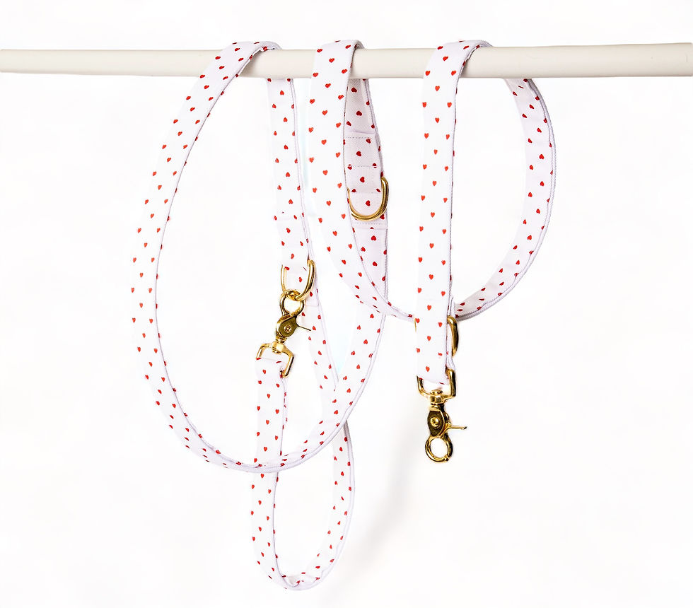 Miniature : Laisse Pompon&Pets - tissu imperméable