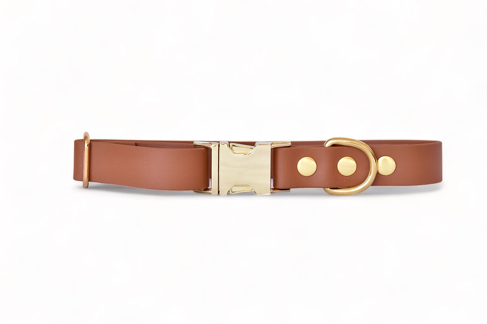 Miniature : Collier Camel - Biothane