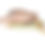 Miniature : Laisse Multi-positions Rio&Co x Pompon&Pets