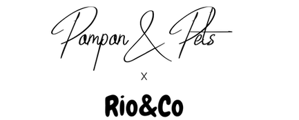 PhotoRoom_20230906_082528.png