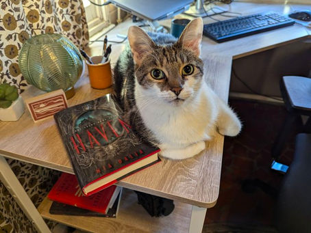 Cats in Haven!
