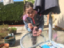 image1 (1).jpeg