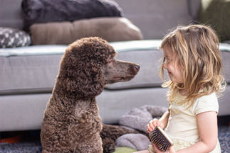 8373E901-2C99-4B3F-9335-141D50016E7A.jpeg