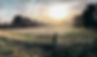 IMG_5137.jpeg