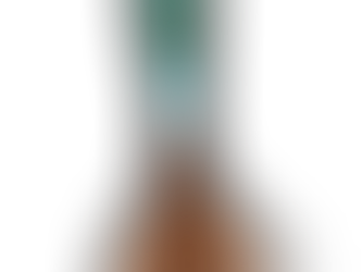 🌱 A Escolha Certa nas Raízes: Por que o Porta-Enxerto é Decisivo para o Sucesso do seu Vinhedo