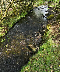 JPEG image-45B6-98D8-09-0.jpeg