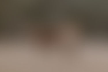 En lisière de forêt