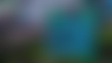 Deus Vivo et autres poignées de portes