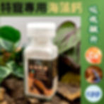 縮圖：🔥霸餵二哥🔥台灣在地製造-海藻鈣粉 爬蟲專用必備營養補充