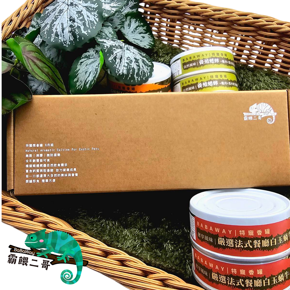縮圖：🔥霸餵二哥🔥台灣在地製造 爬蟲專用罐頭主食6入裝-精裝禮盒組