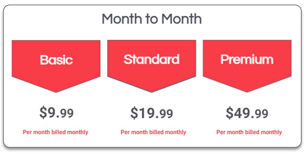 Tailor Brands Month to Month Subscription plan prices