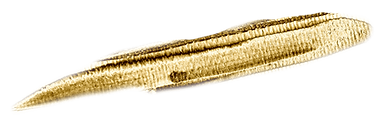 11.png