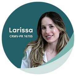 Equipe Vetins (3).png