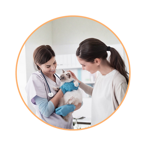 Imagens Equilibrium (4).png