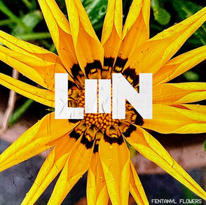Album Review: Fentanyl Flowers | LiiN