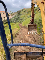 MP Photo 5.jpg