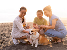 Happy dog owner spending quality time with their pet, representing the growing pawrent lifestyle and the trend of treating dogs as family members.