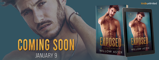 Cover Reveal - Exposed by Willow Aster