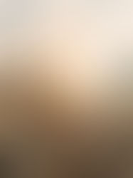 Tribeca Film Festival