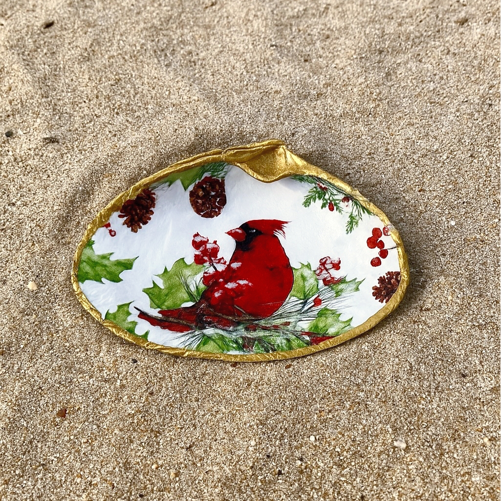 Cardinal Clam Deco Shell