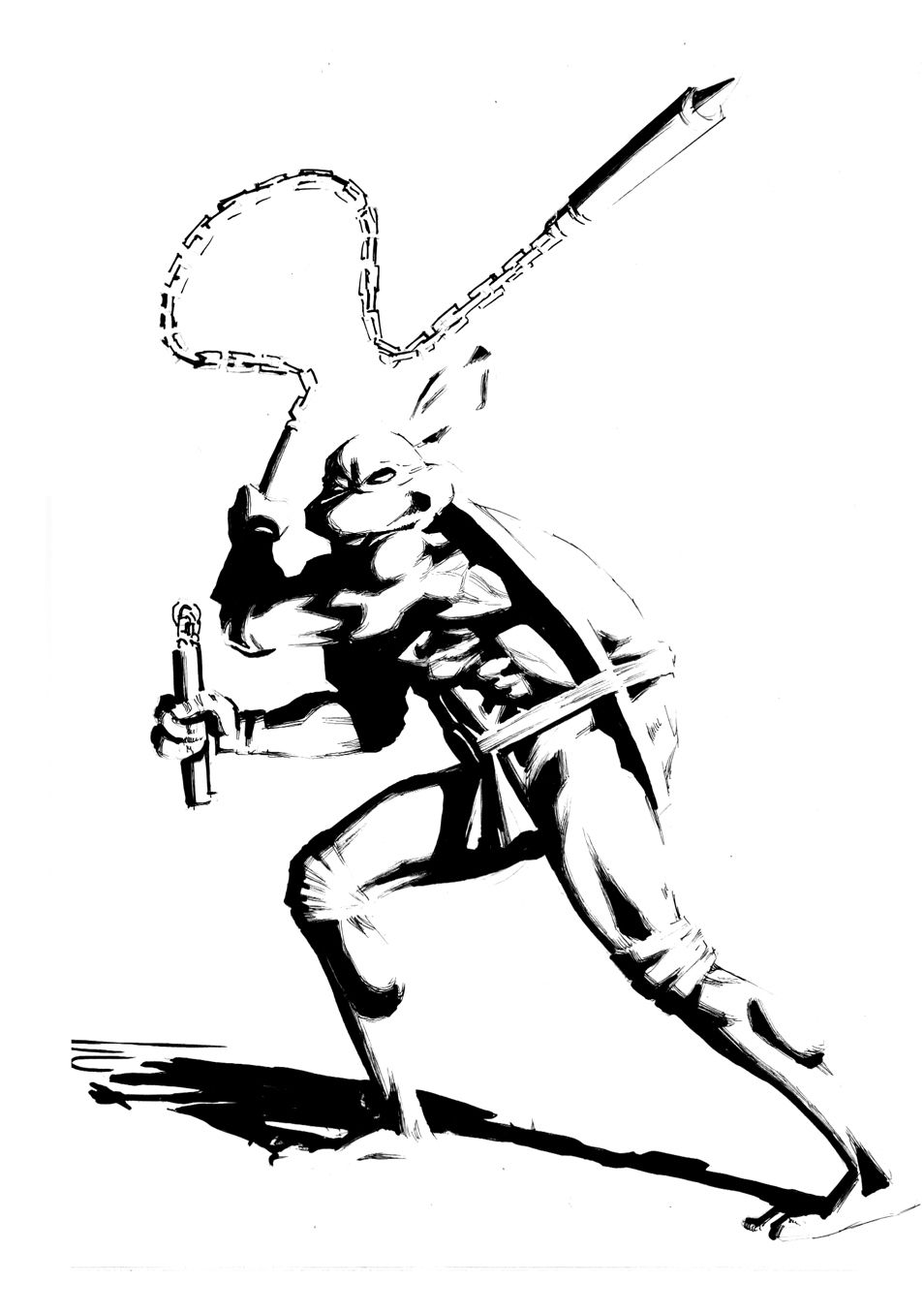 tortuga ninja final comp.jpg