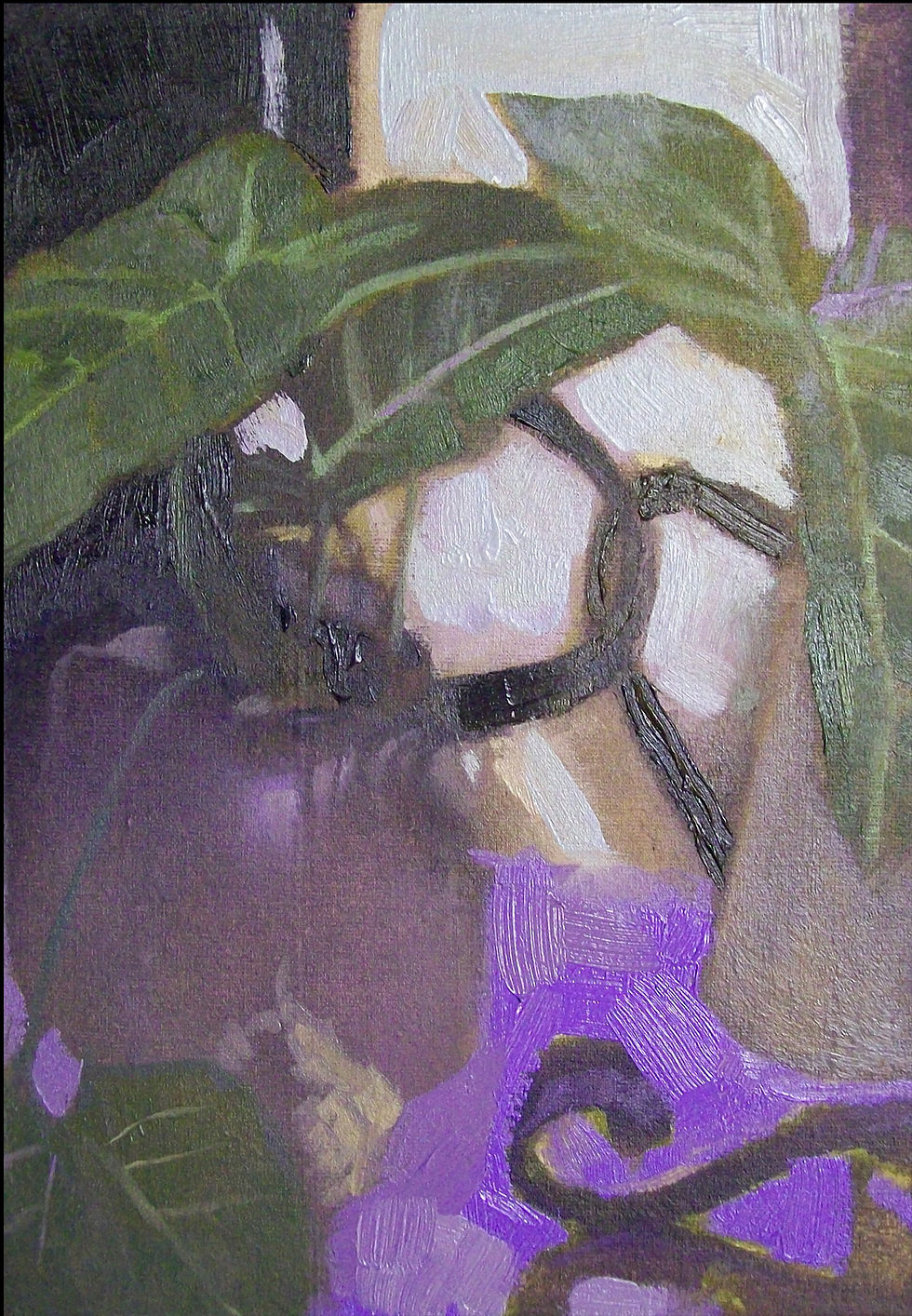 plant violet comp.jpg