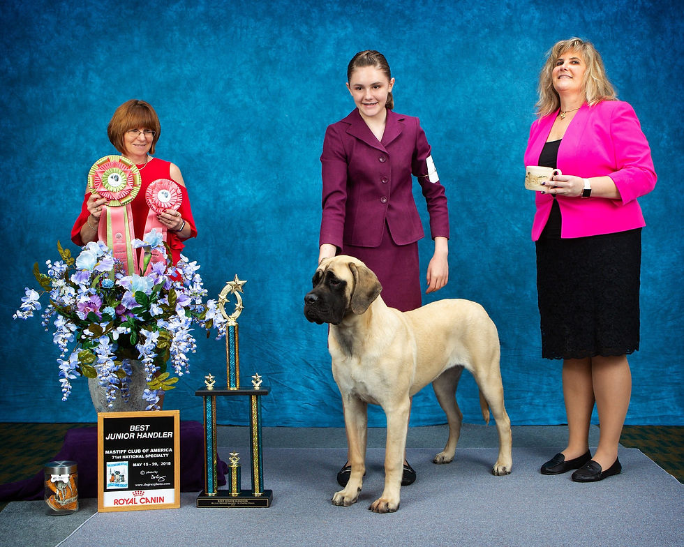 2018 Best Jr Handler, Hannah Hicks