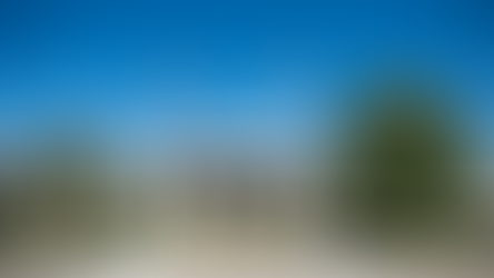 🗳 Local Representative to Lead New Committee Targeting Efficiency