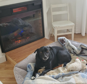 Screenshot (254).png