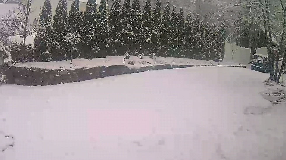 Snow blankets our driveway in this webcam image, captured on a chilly April morning.