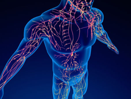 The Benefits of Lymphatic Drainage for Optimal Health and Wellness